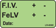 F.I.V. FeLV